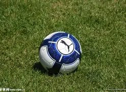 诺维茨基洛,杉矶观战东,契奇湖人队,星空娱乐,星空娱乐官网