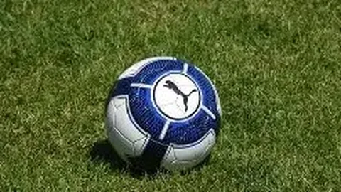 诺维茨基洛杉矶观战东契奇湖人队首秀